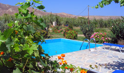 private naxos villas with private swimming pool