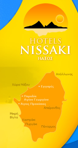 Ξενοδοχεία Νησάκι, Νάξος