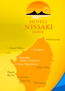 Ξενοδοχεία Νησάκι, Νάξος